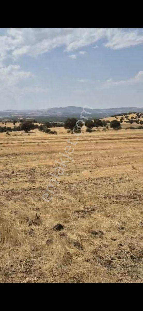 Salihli Beşyol Emlaktan 150 Dönüm Satılık Arazi - Görsel 2