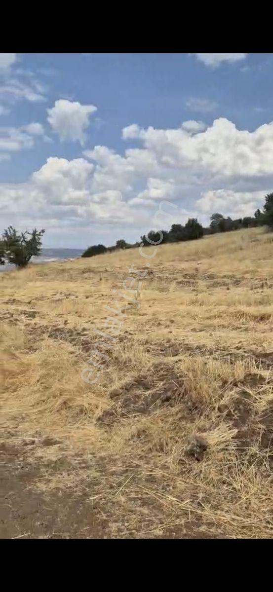 Salihli Beşyol Emlaktan 150 Dönüm Satılık Arazi - Görsel 17