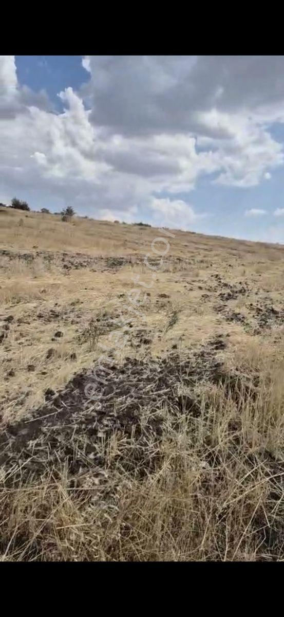 Salihli Beşyol Emlaktan 150 Dönüm Satılık Arazi - Görsel 13