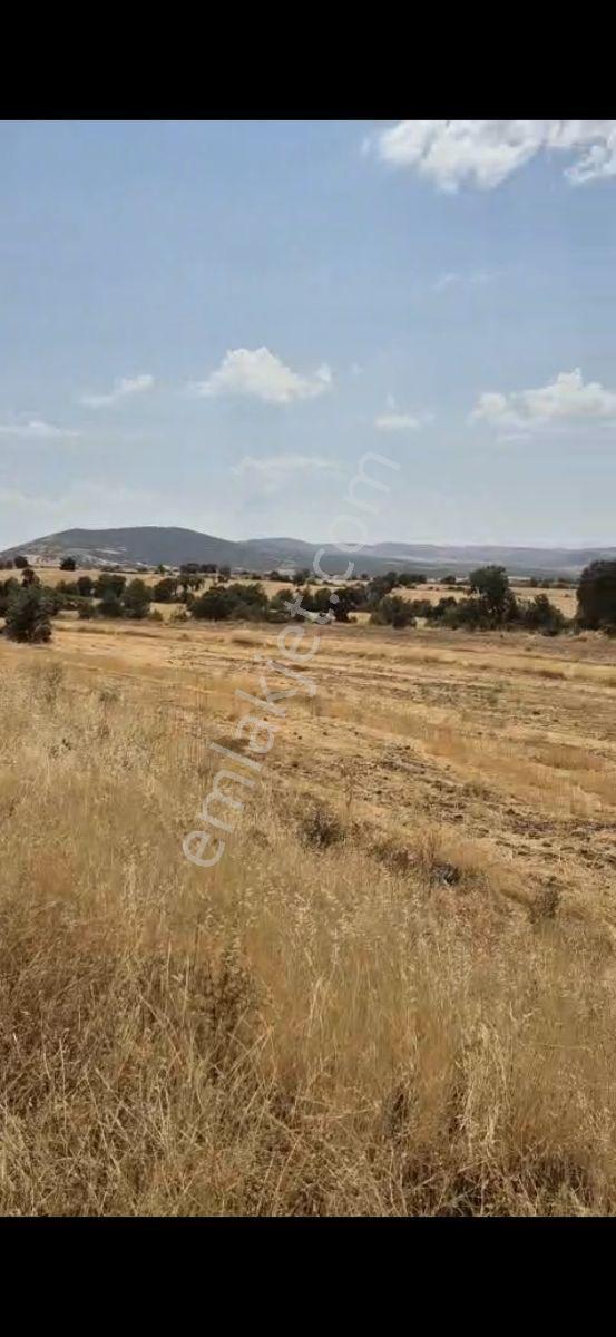 Salihli Beşyol Emlaktan 150 Dönüm Satılık Arazi - Görsel 6