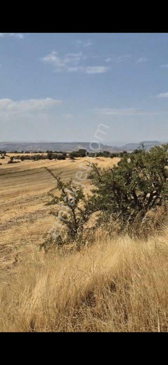 Salihli Beşyol Emlaktan 150 Dönüm Satılık Arazi - Görsel 10