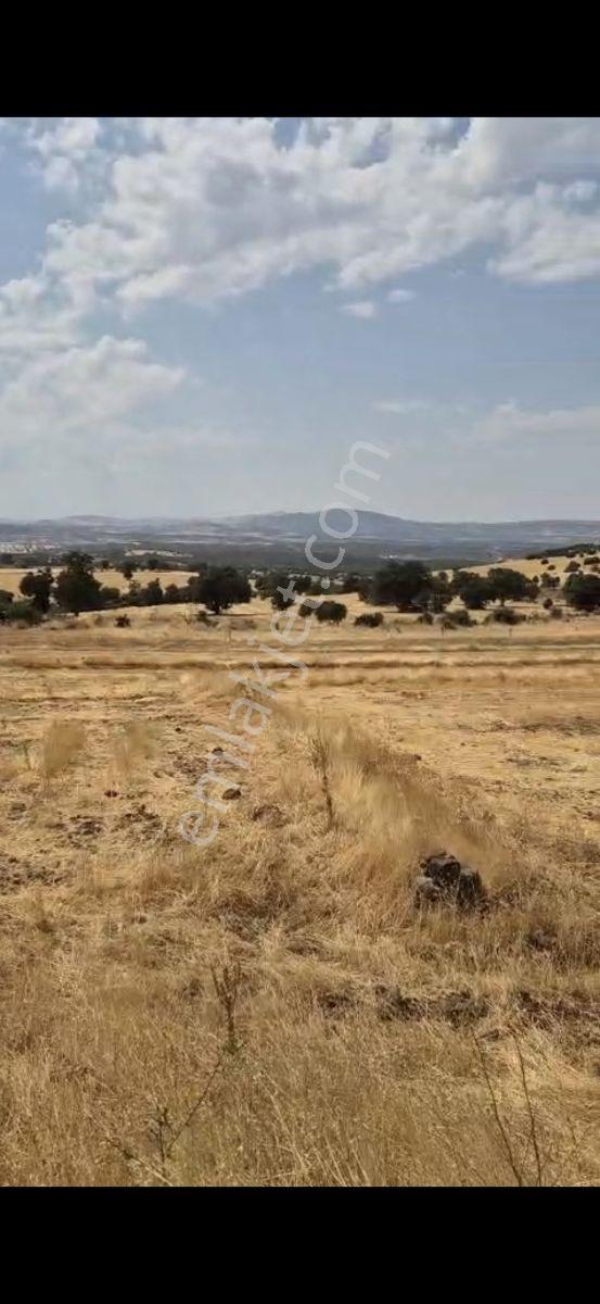 Salihli Beşyol Emlaktan 150 Dönüm Satılık Arazi - Görsel 7