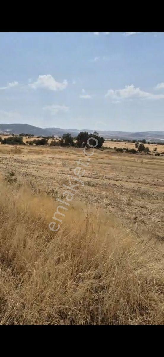 Salihli Beşyol Emlaktan 150 Dönüm Satılık Arazi - Görsel 12