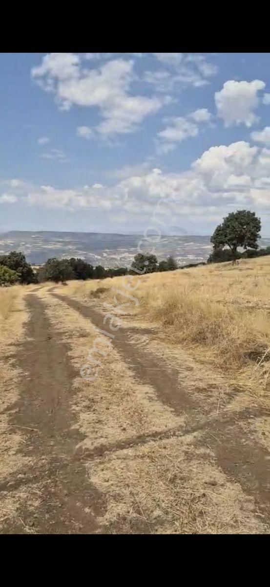 Salihli Beşyol Emlaktan 150 Dönüm Satılık Arazi - Görsel 16