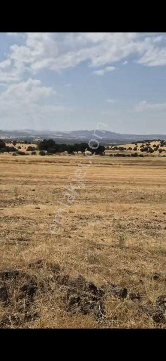 Salihli Beşyol Emlaktan 150 Dönüm Satılık Arazi - Görsel 18
