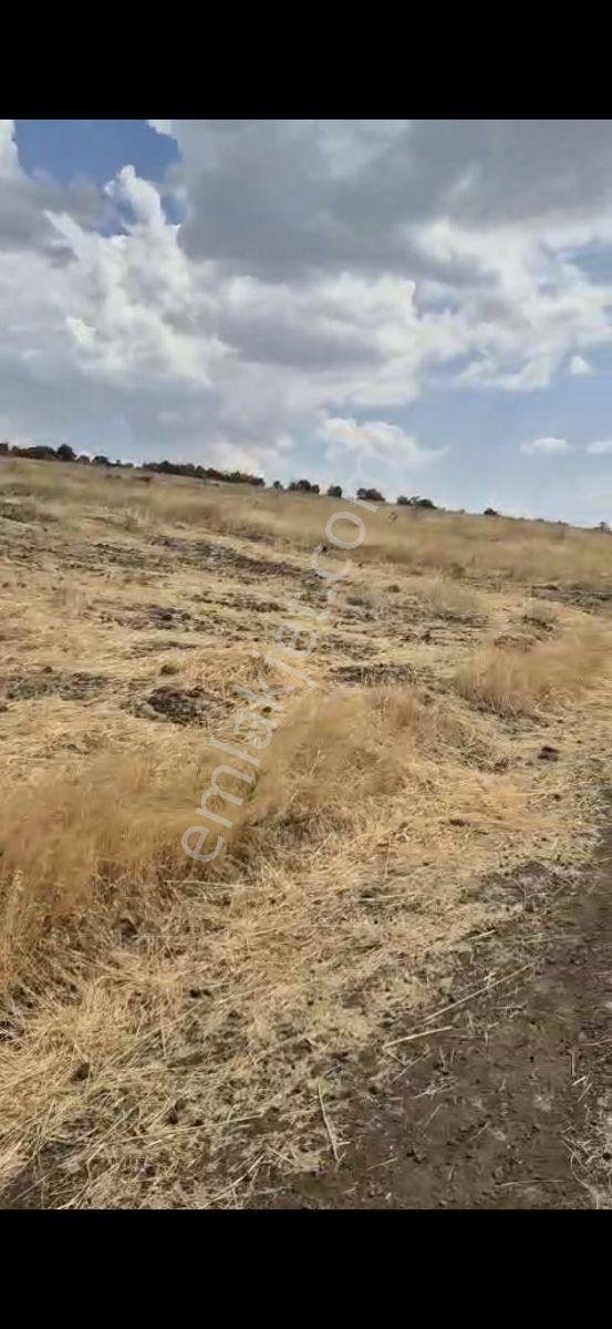 Salihli Beşyol Emlaktan 150 Dönüm Satılık Arazi - Görsel 4