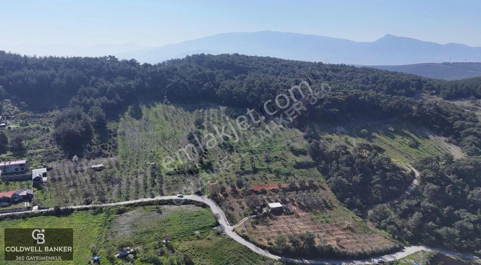İzmir Bornova Karaçamda Satılık Müstakil Tarla - Görsel 12