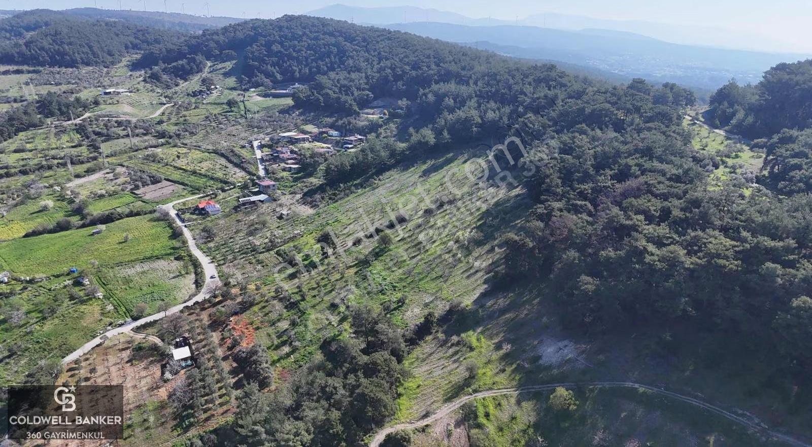 İzmir Bornova Karaçamda Satılık Müstakil Tarla - Görsel 7