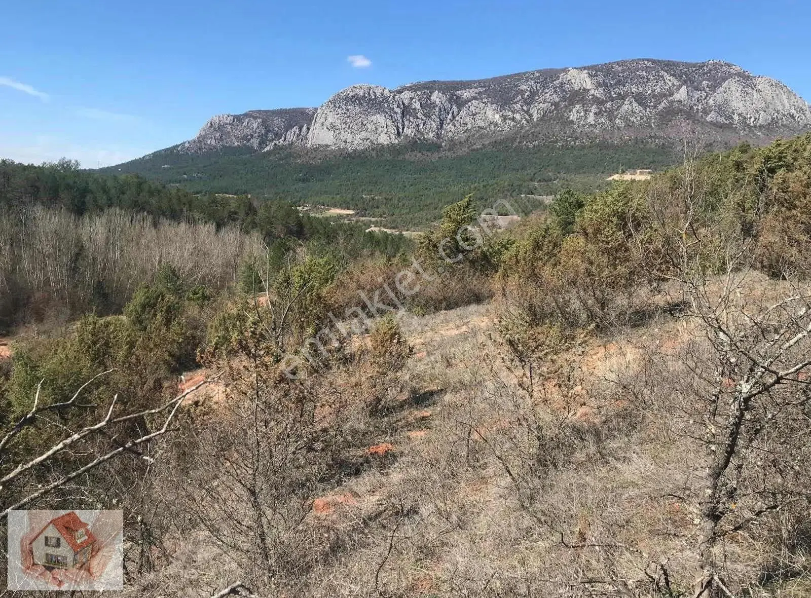 Doğuştan Bilecik Gölpazarı Bayat'ta Satılık Arazi 3875 M - Görsel 5