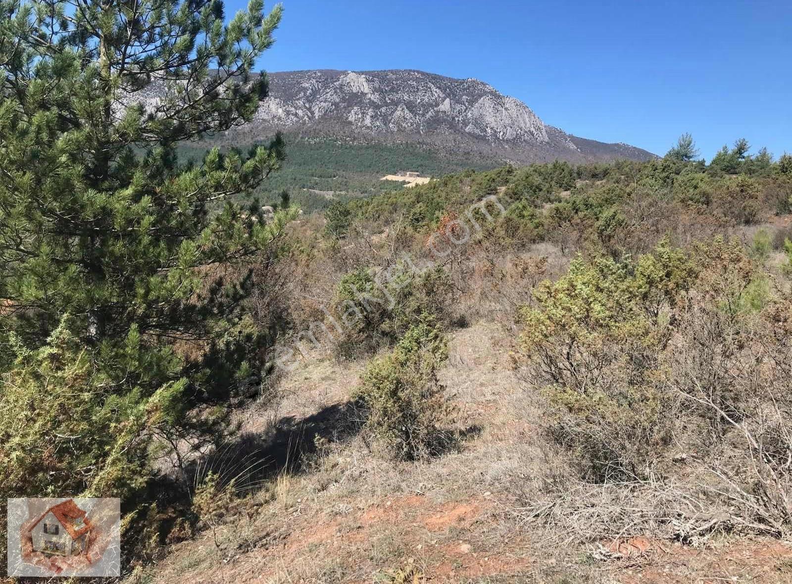 Doğuştan Bilecik Gölpazarı Bayat'ta Satılık Arazi 3875 M - Görsel 4