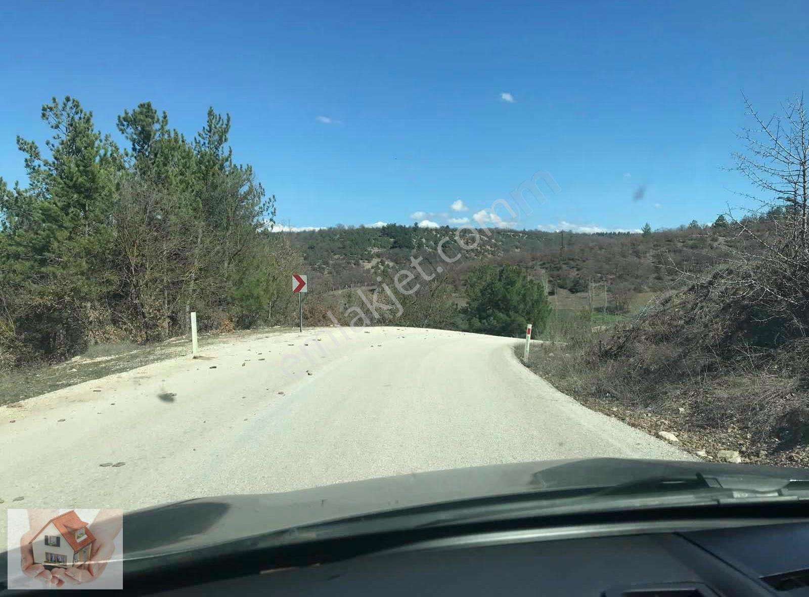 Doğuştan Bilecik Gölpazarı Bayat'ta Satılık Arazi 3875 M - Görsel 17