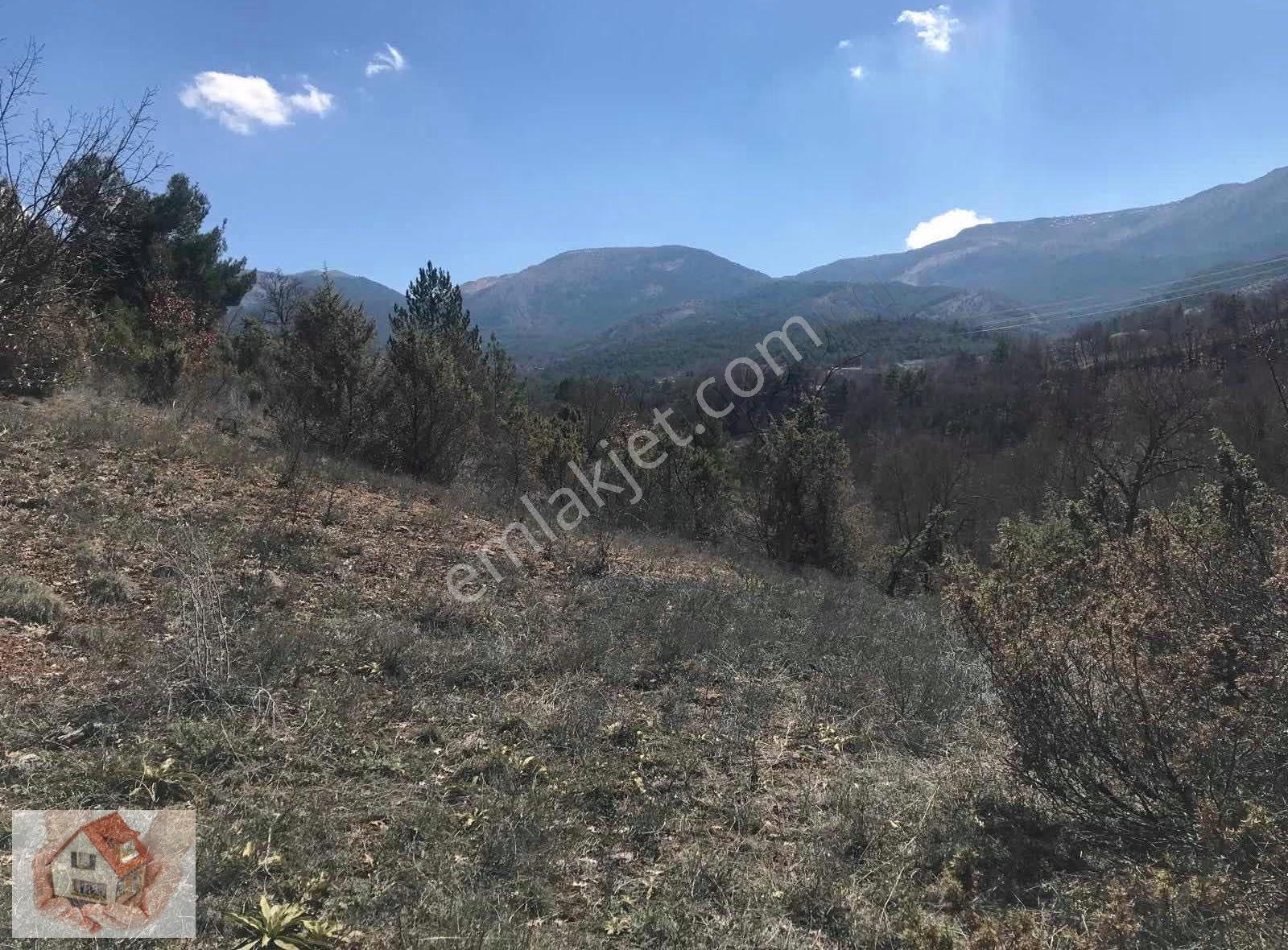 Doğuştan Bilecik Gölpazarı Bayat'ta Satılık Arazi 3875 M - Görsel 15