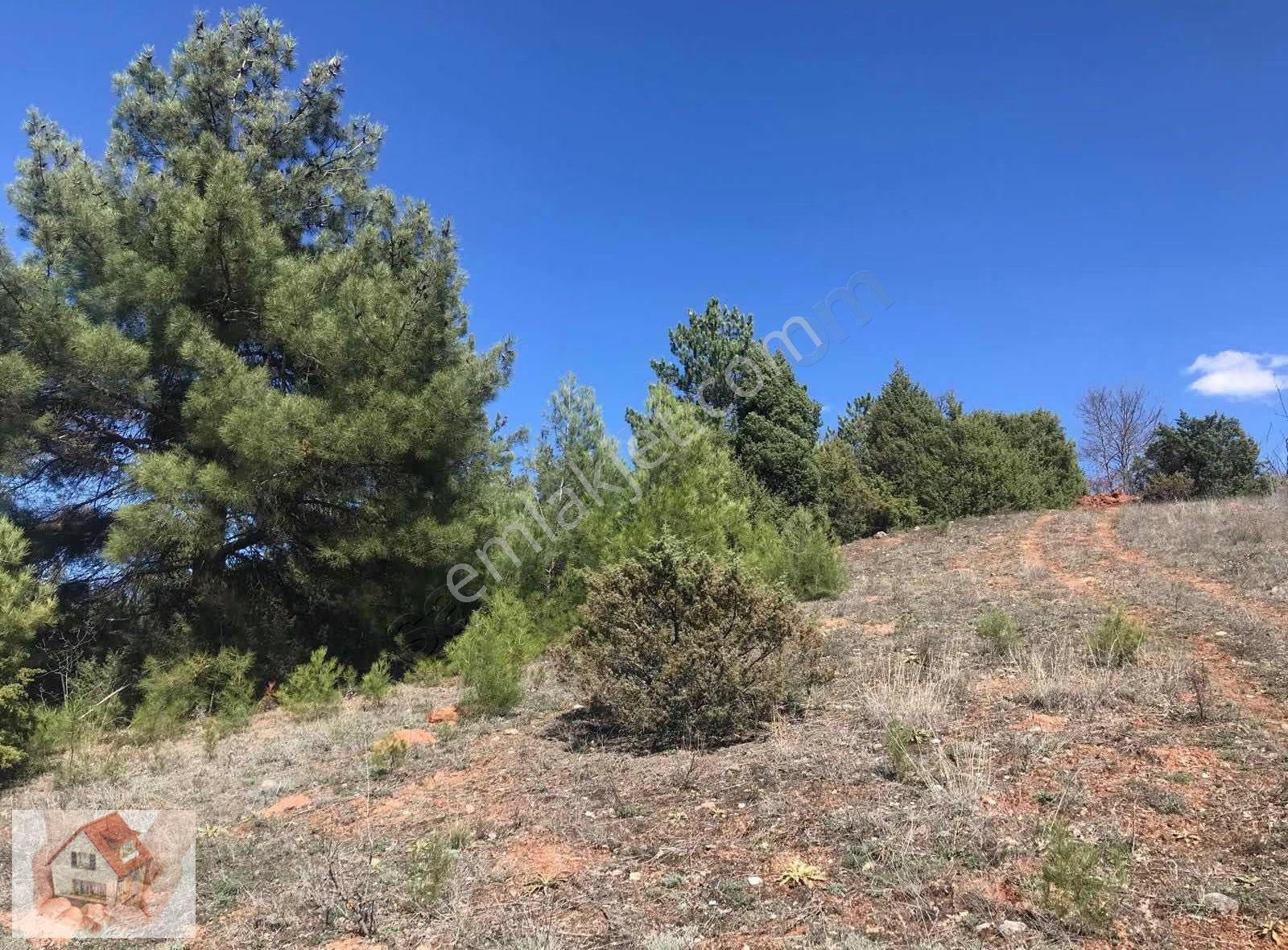 Doğuştan Bilecik Gölpazarı Bayat'ta Satılık Arazi 3875 M - Görsel 13