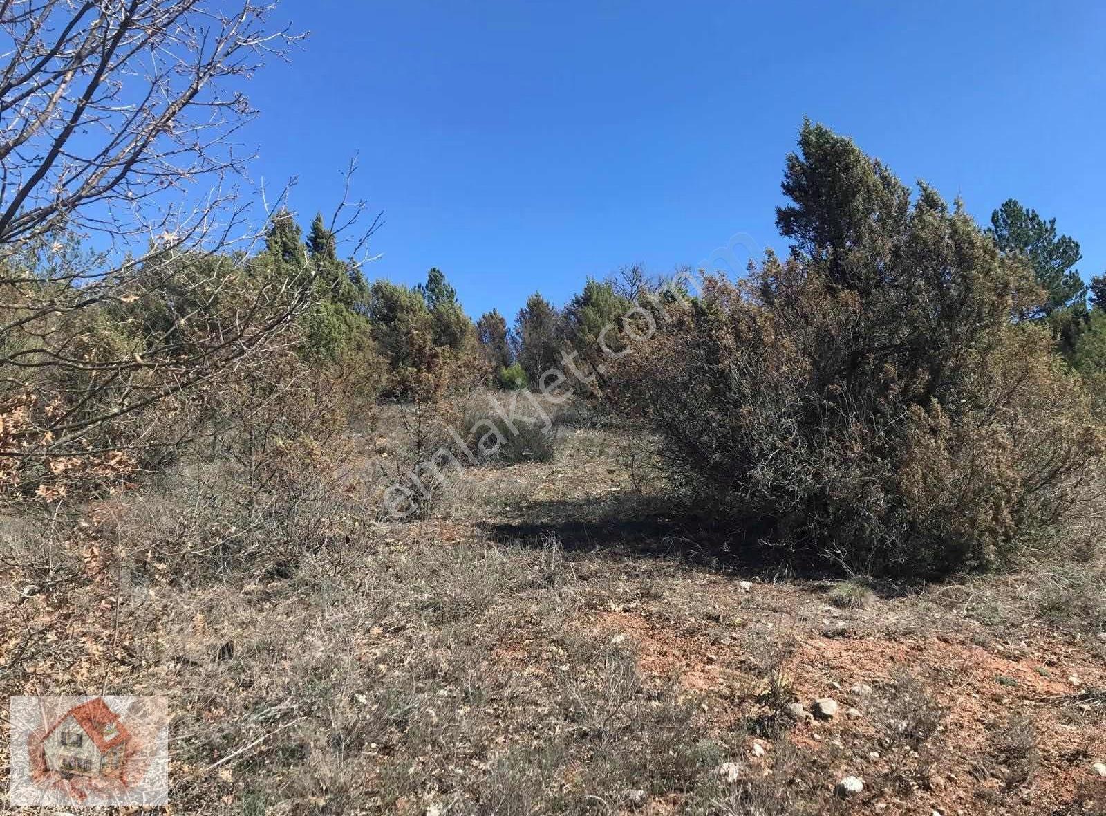 Doğuştan Bilecik Gölpazarı Bayat'ta Satılık Arazi 3875 M - Görsel 8
