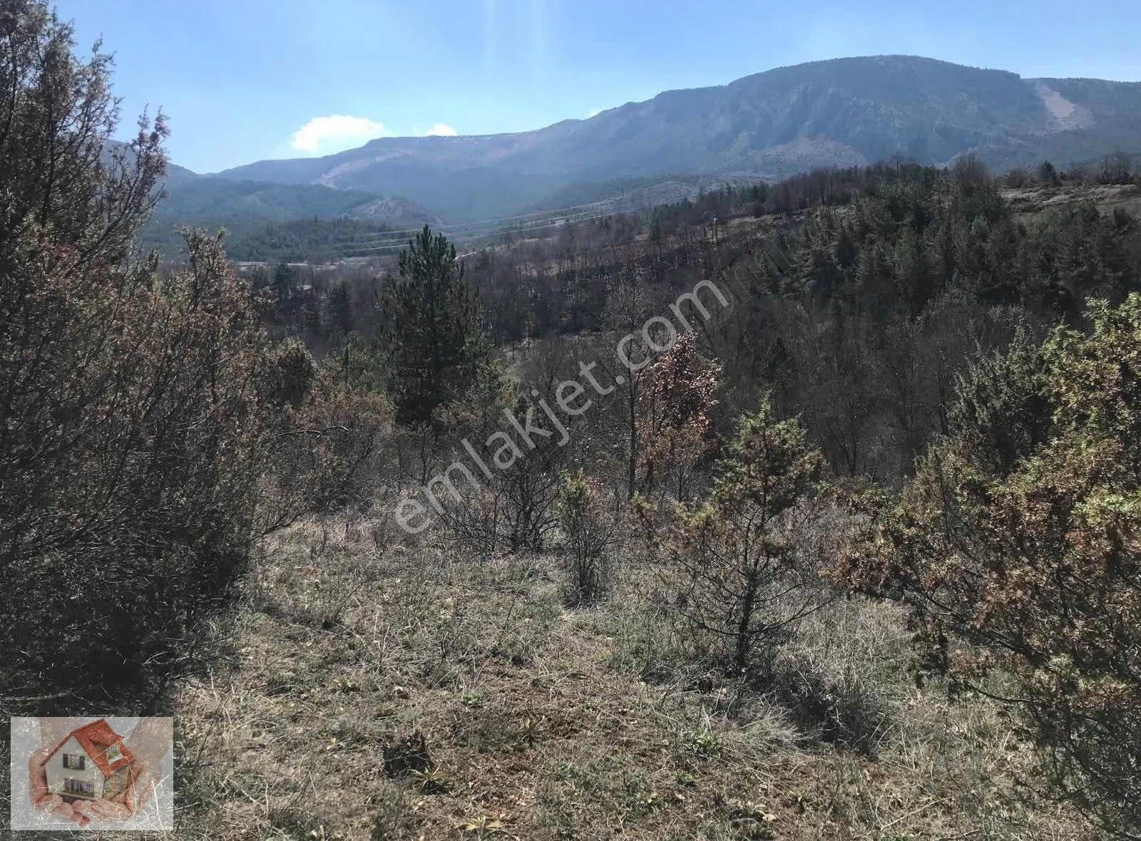 Doğuştan Bilecik Gölpazarı Bayat'ta Satılık Arazi 3875 M - Görsel 18