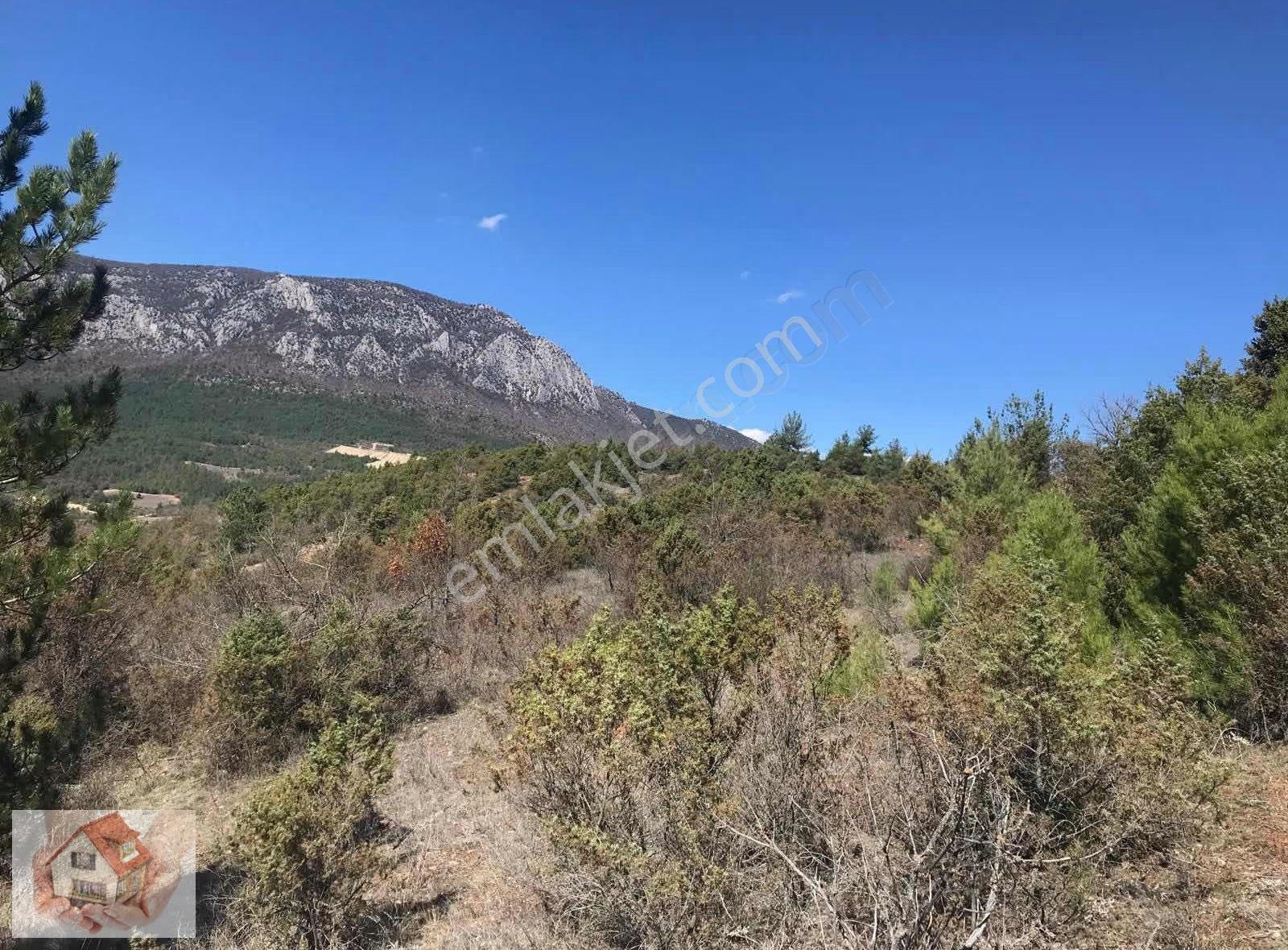 Doğuştan Bilecik Gölpazarı Bayat'ta Satılık Arazi 3875 M - Görsel 3
