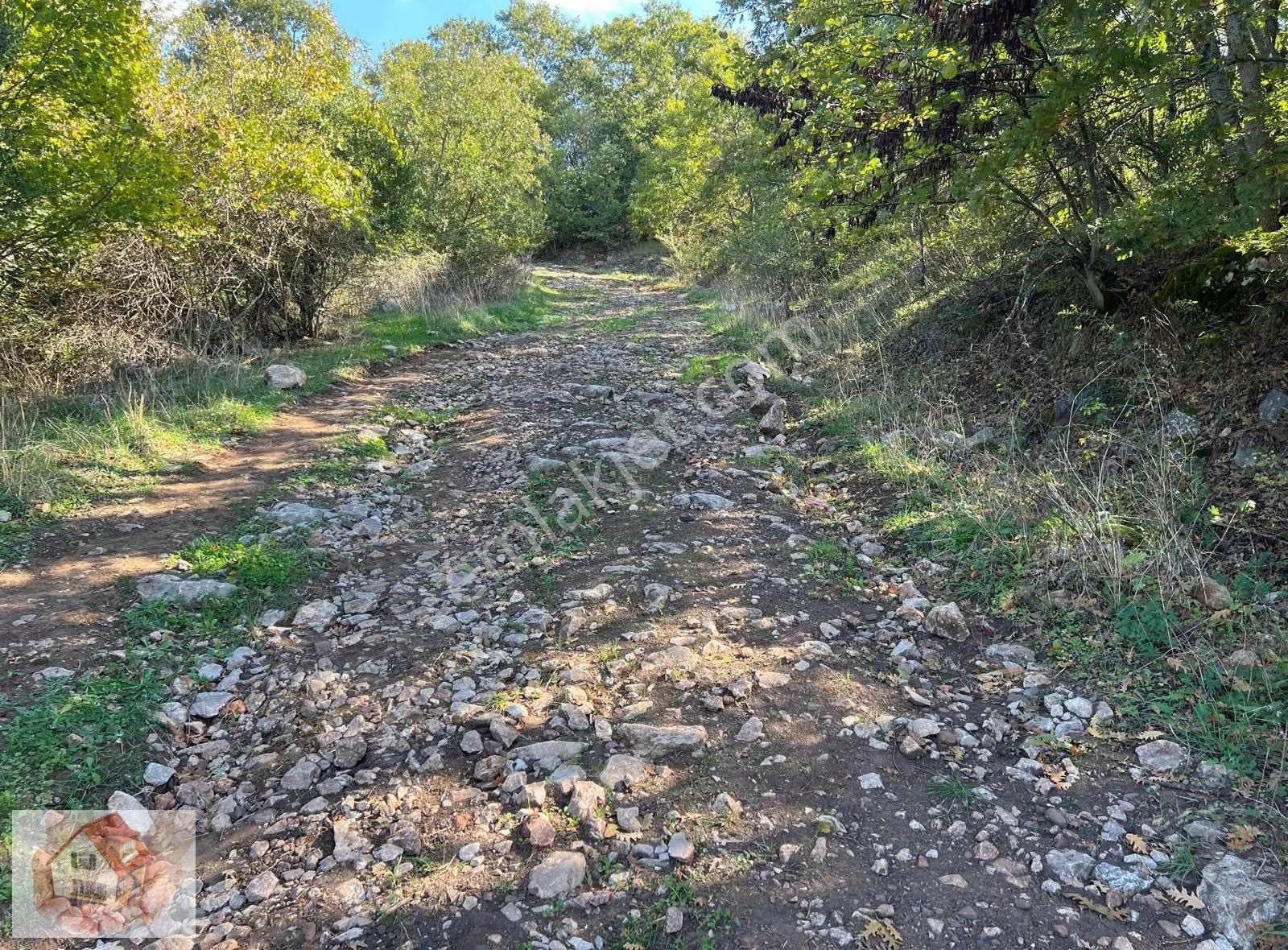 Doğuştan Çanakkale Çam Asmalıda Satılık Arazi 3100 M - Görsel 8