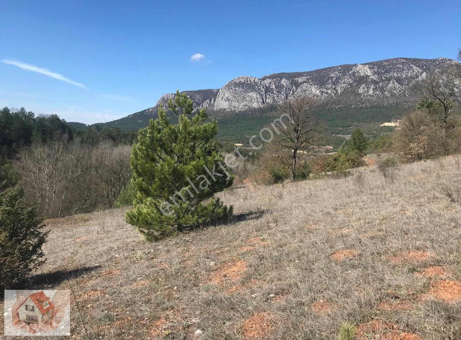 Doğuştan Bilecik Gölpazarı Bayat'ta Satılık Arazi 3513 M - Görsel 17