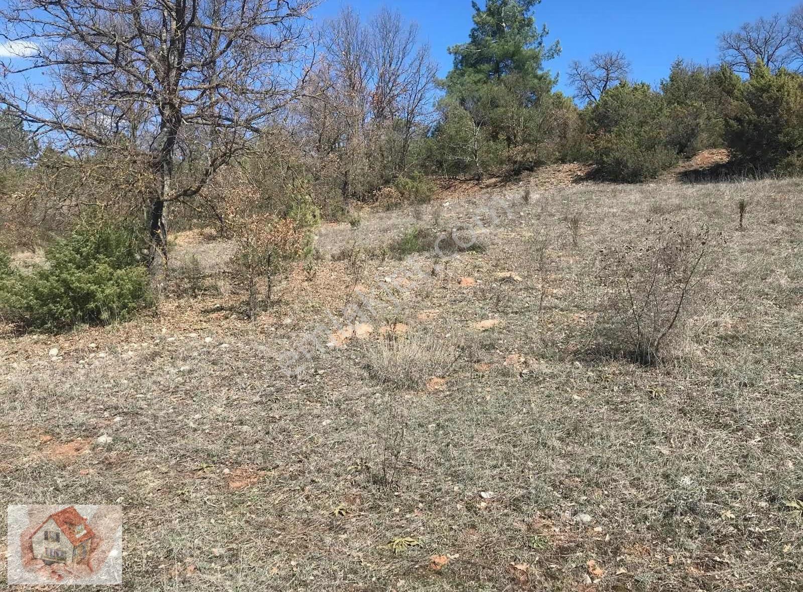 Doğuştan Bilecik Gölpazarı Bayat'ta Satılık Arazi 3513 M - Görsel 5