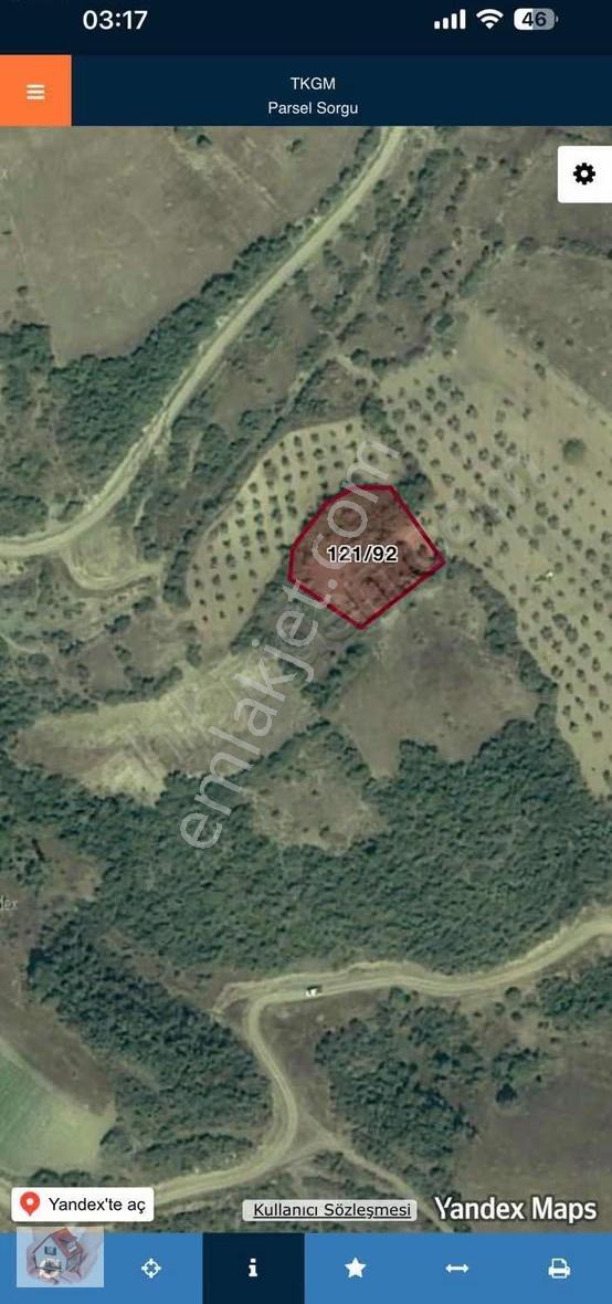 Doğuştan Bilecik Osmaneli Oğulpaşa'da Satılık Bahçe 1382 M - Görsel 7