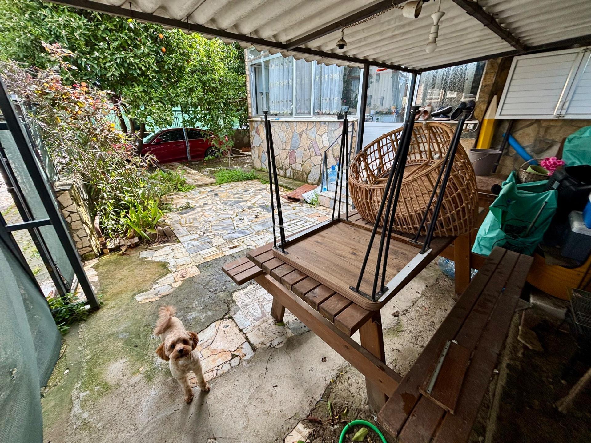 Limanreiste Köşe Konumda Komple Bina - Görsel 27