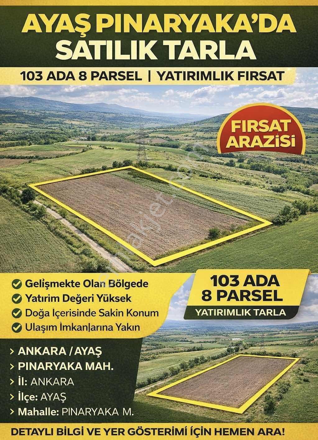 Ayaş Pınaryaka'da Yatırımlık 3.460m² Tek Tapu Tarla