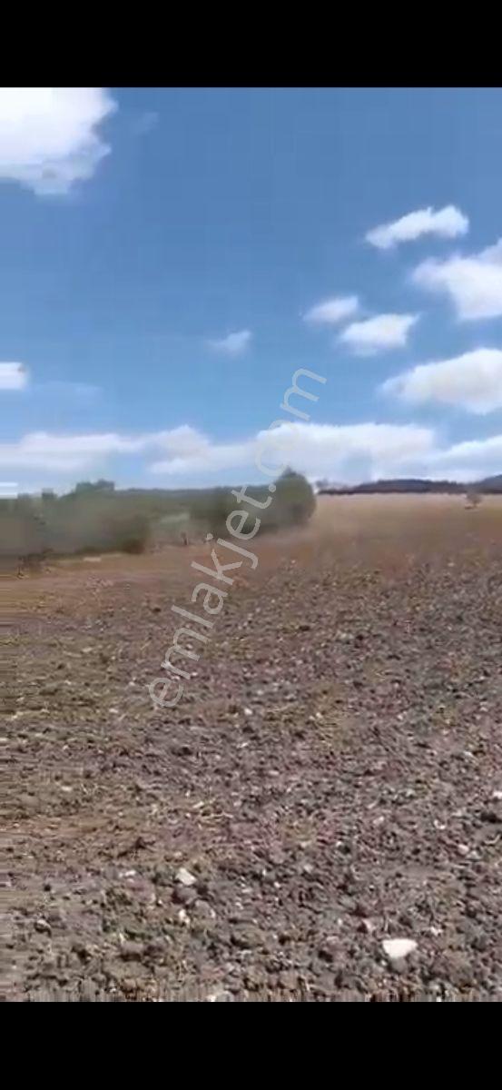Salihli Beşyol Emlaktan Satılık 27 Dönüm Çiflik Arazi - Görsel 8