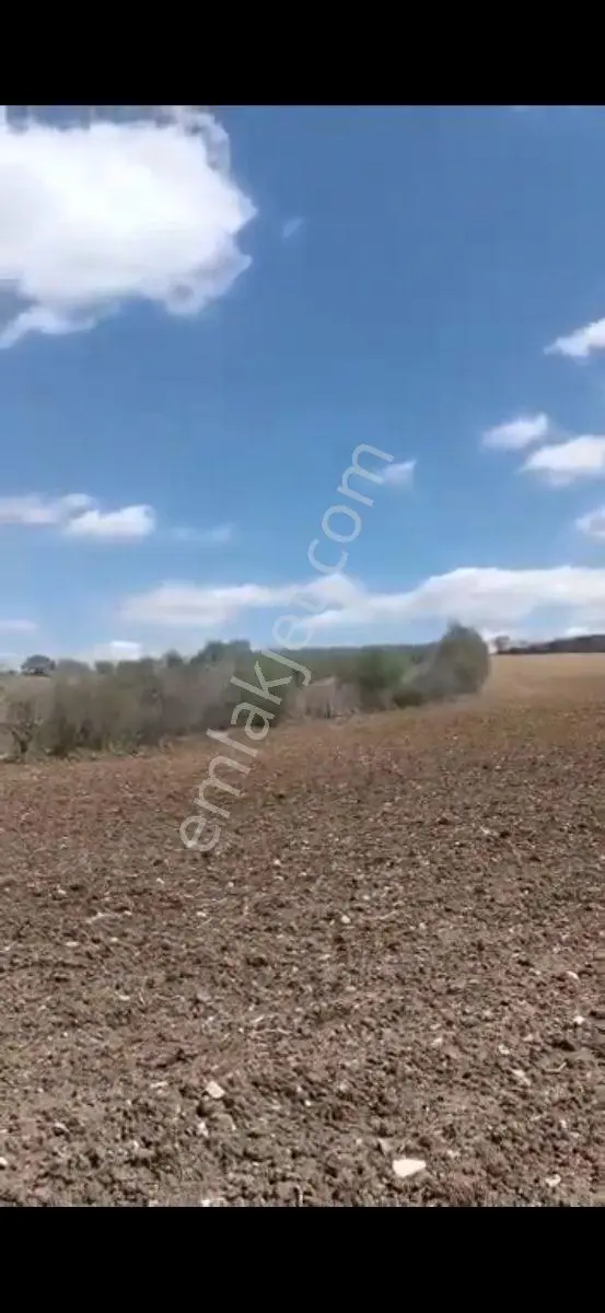 Salihli Beşyol Emlaktan Satılık 27 Dönüm Çiflik Arazi - Görsel 2