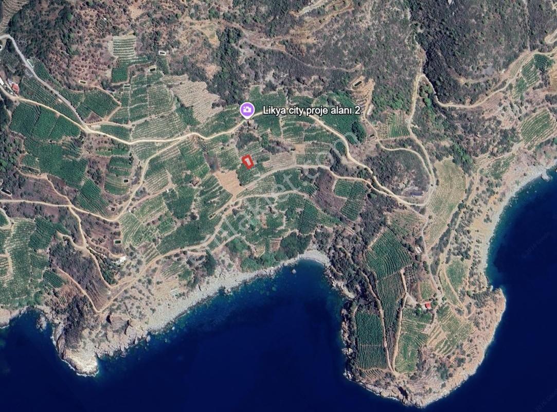 Full Denız Manzaralı Muzluk Denıze 250 M - Görsel 6