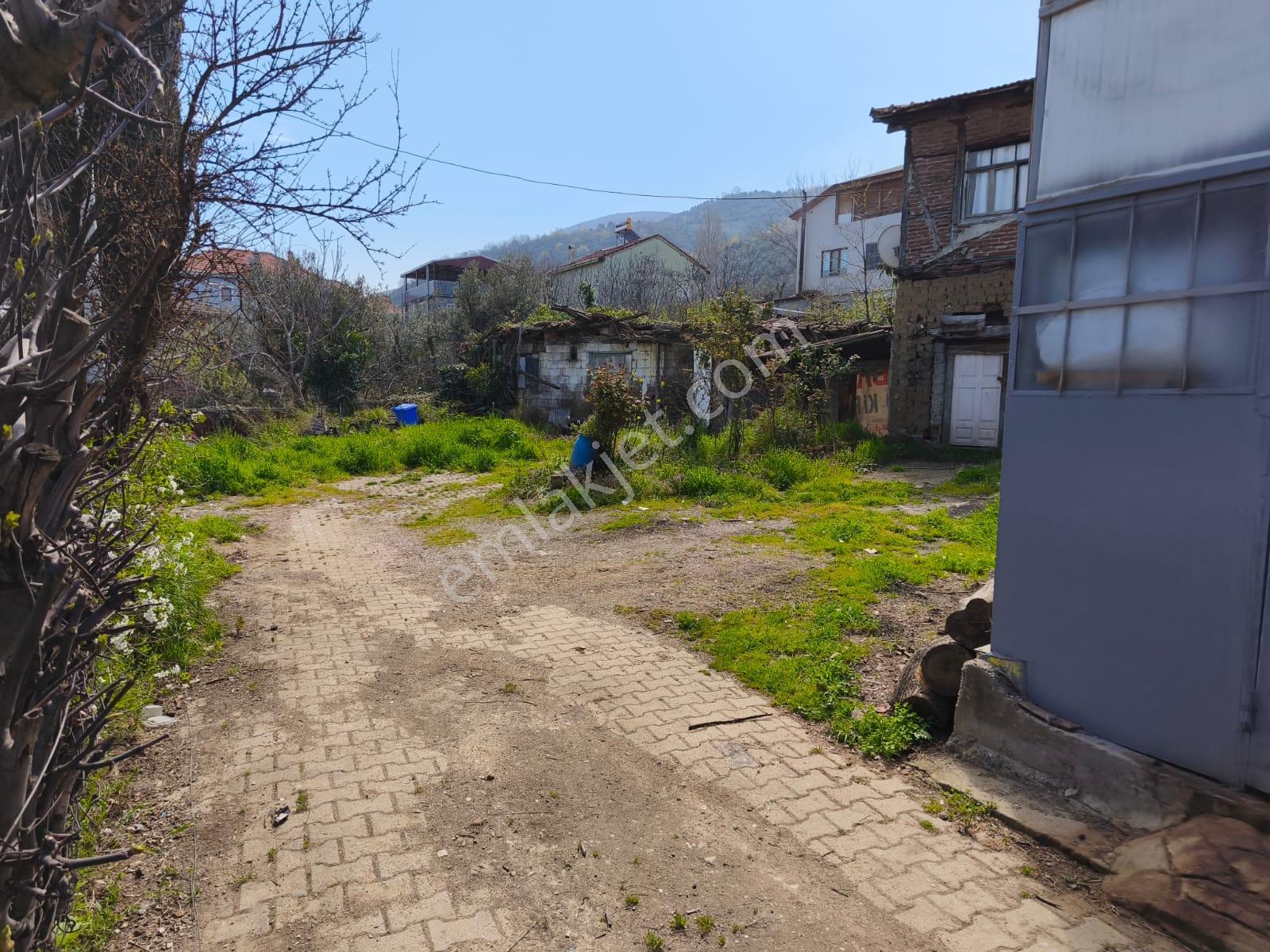 C21 Cius; Akharem Mahallesinde Satılık Köy Evi+imarlı Arsa - Görsel 2