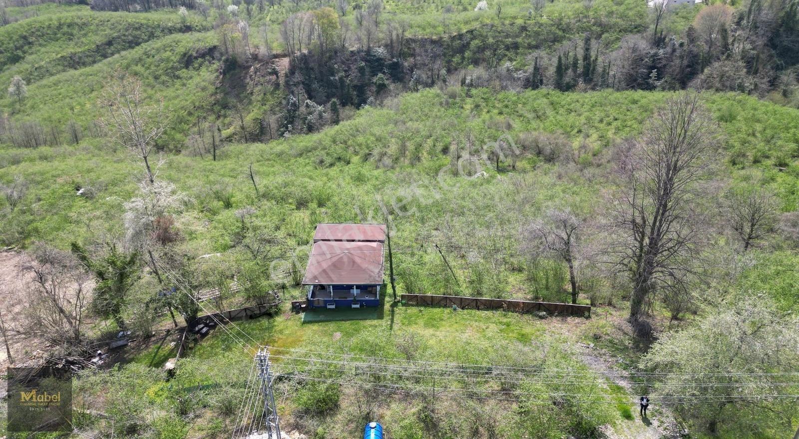 Anayola-sıfır-merkeze 4 Km 15dönüm Fındık Bahçesi Ve Kurulu Ev*