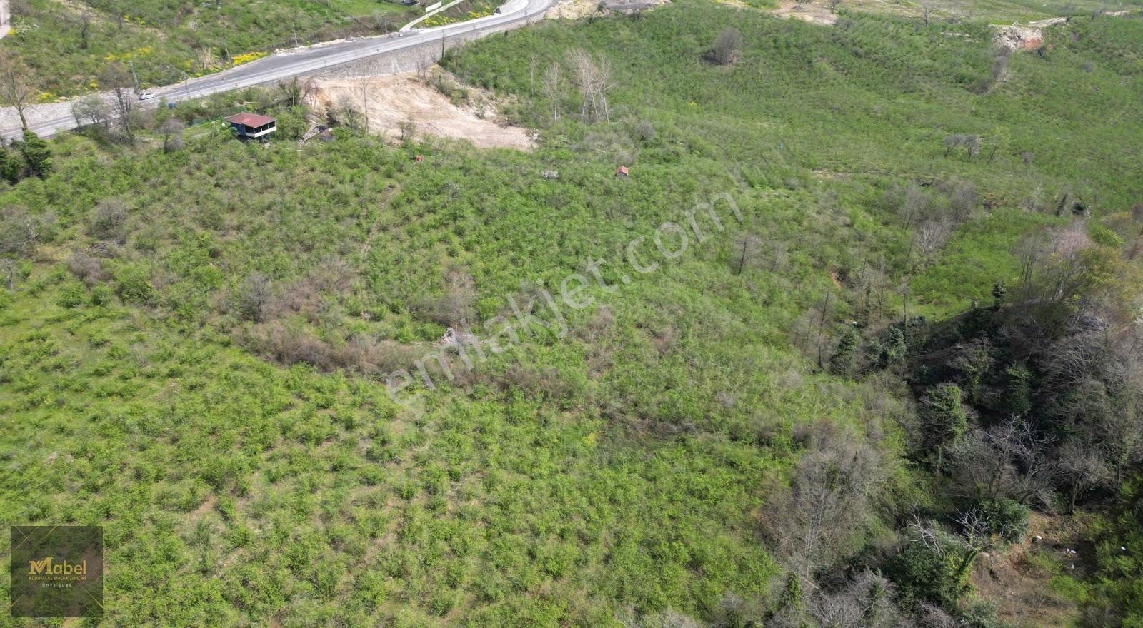 Anayola-sıfır-merkeze 4 Km 15dönüm Fındık Bahçesi Ve Kurulu Ev* - Görsel 14