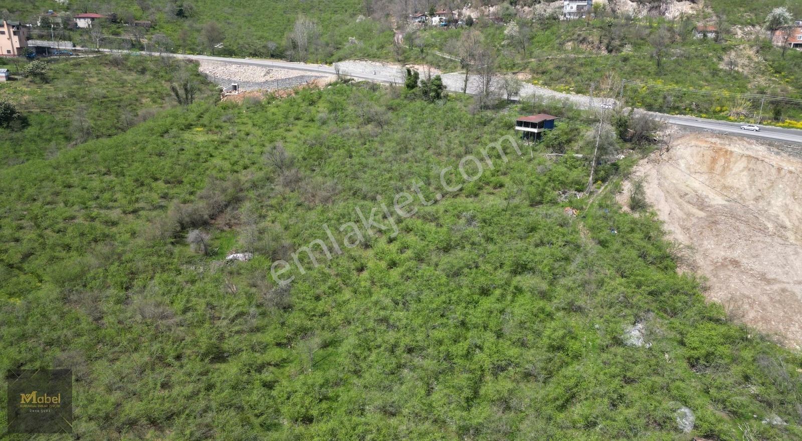 Anayola-sıfır-merkeze 4 Km 15dönüm Fındık Bahçesi Ve Kurulu Ev* - Görsel 13