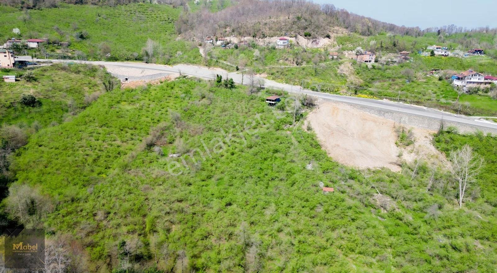 Anayola-sıfır-merkeze 4 Km 15dönüm Fındık Bahçesi Ve Kurulu Ev* - Görsel 9