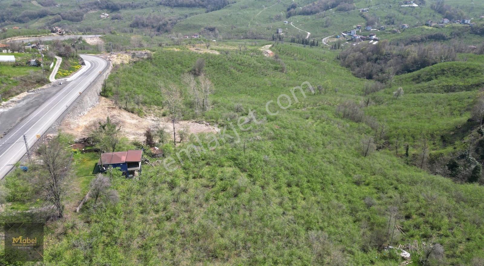 Anayola-sıfır-merkeze 4 Km 15dönüm Fındık Bahçesi Ve Kurulu Ev* - Görsel 27