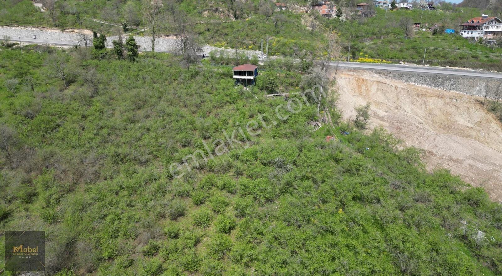 Anayola-sıfır-merkeze 4 Km 15dönüm Fındık Bahçesi Ve Kurulu Ev* - Görsel 20