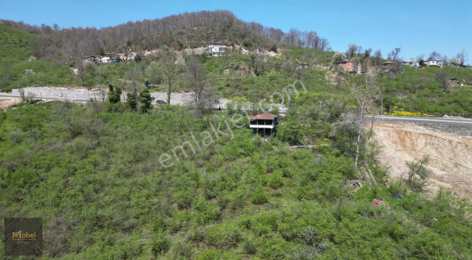 Anayola-sıfır-merkeze 4 Km 15dönüm Fındık Bahçesi Ve Kurulu Ev* - Görsel 3