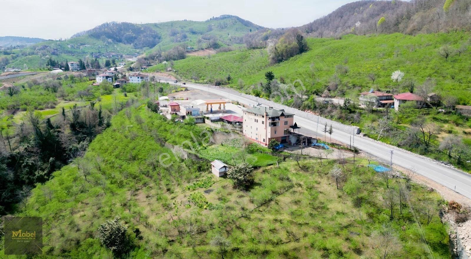 Anayola-sıfır-merkeze 4 Km 15dönüm Fındık Bahçesi Ve Kurulu Ev* - Görsel 5