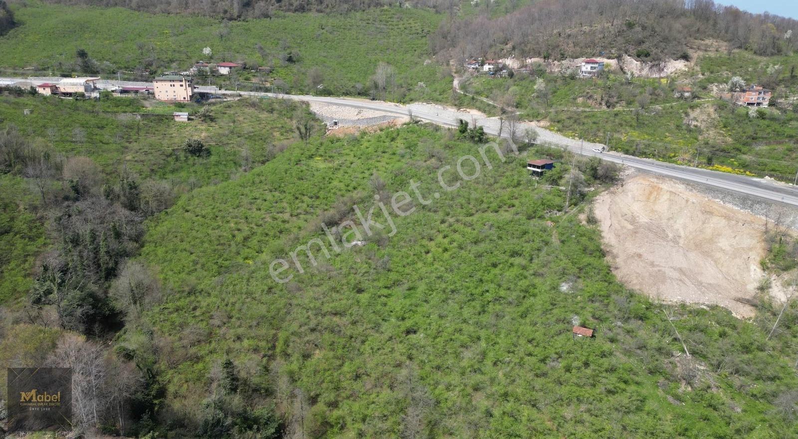 Anayola-sıfır-merkeze 4 Km 15dönüm Fındık Bahçesi Ve Kurulu Ev* - Görsel 17