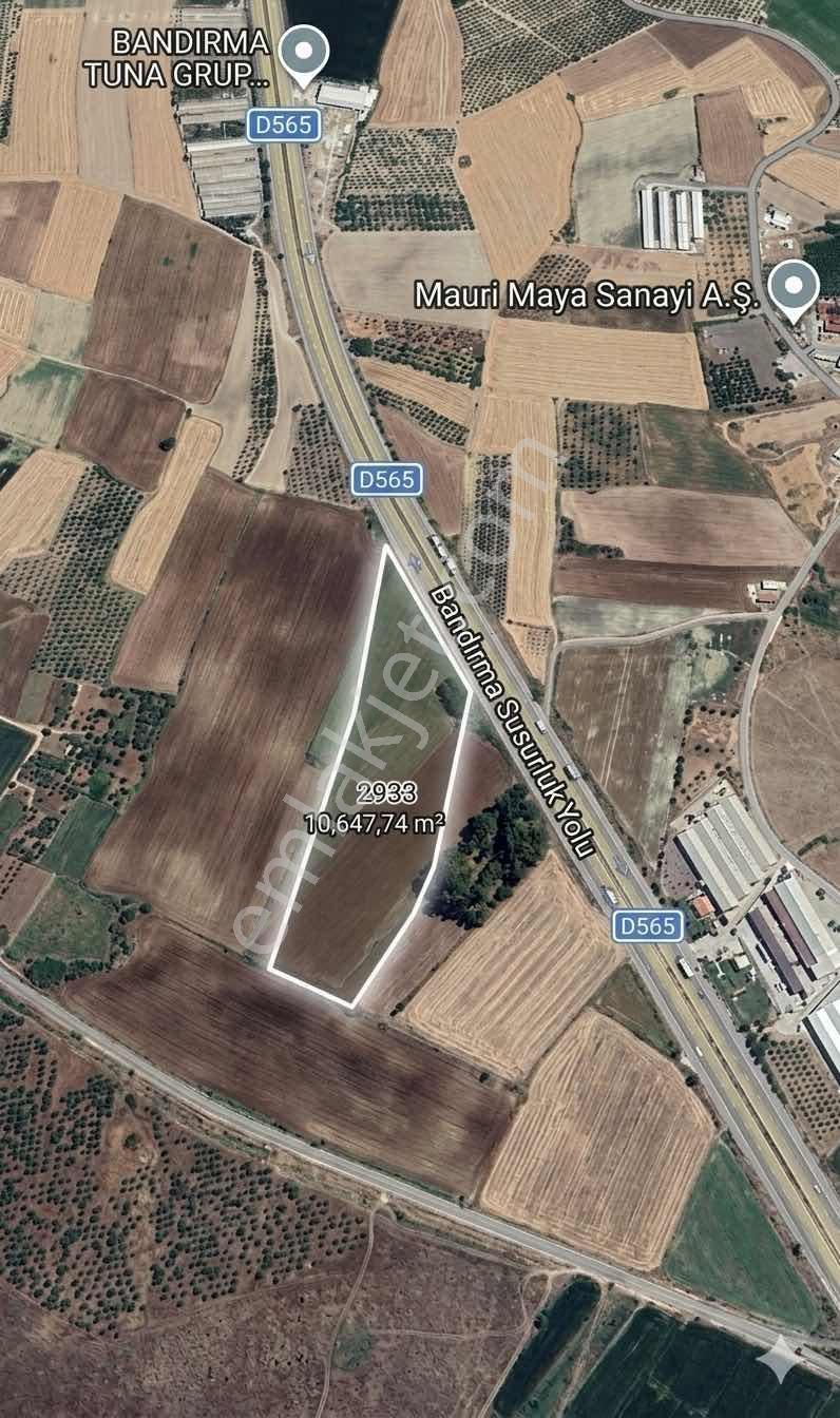 Bandırma Aksakal'da Ana Yola Cephe 10 Dönüm Satılık Tarla