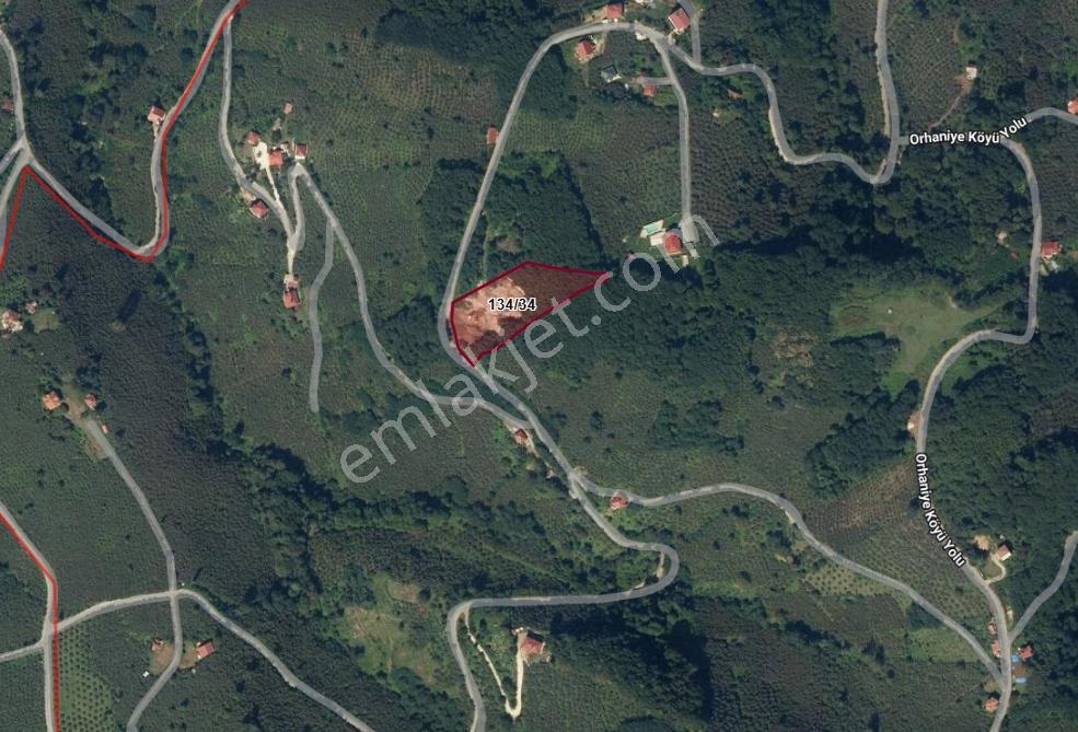 Ordu Orhaniye Daire Parasına 6118 M2 Satılık Fındık Bahçesi - Görsel 4