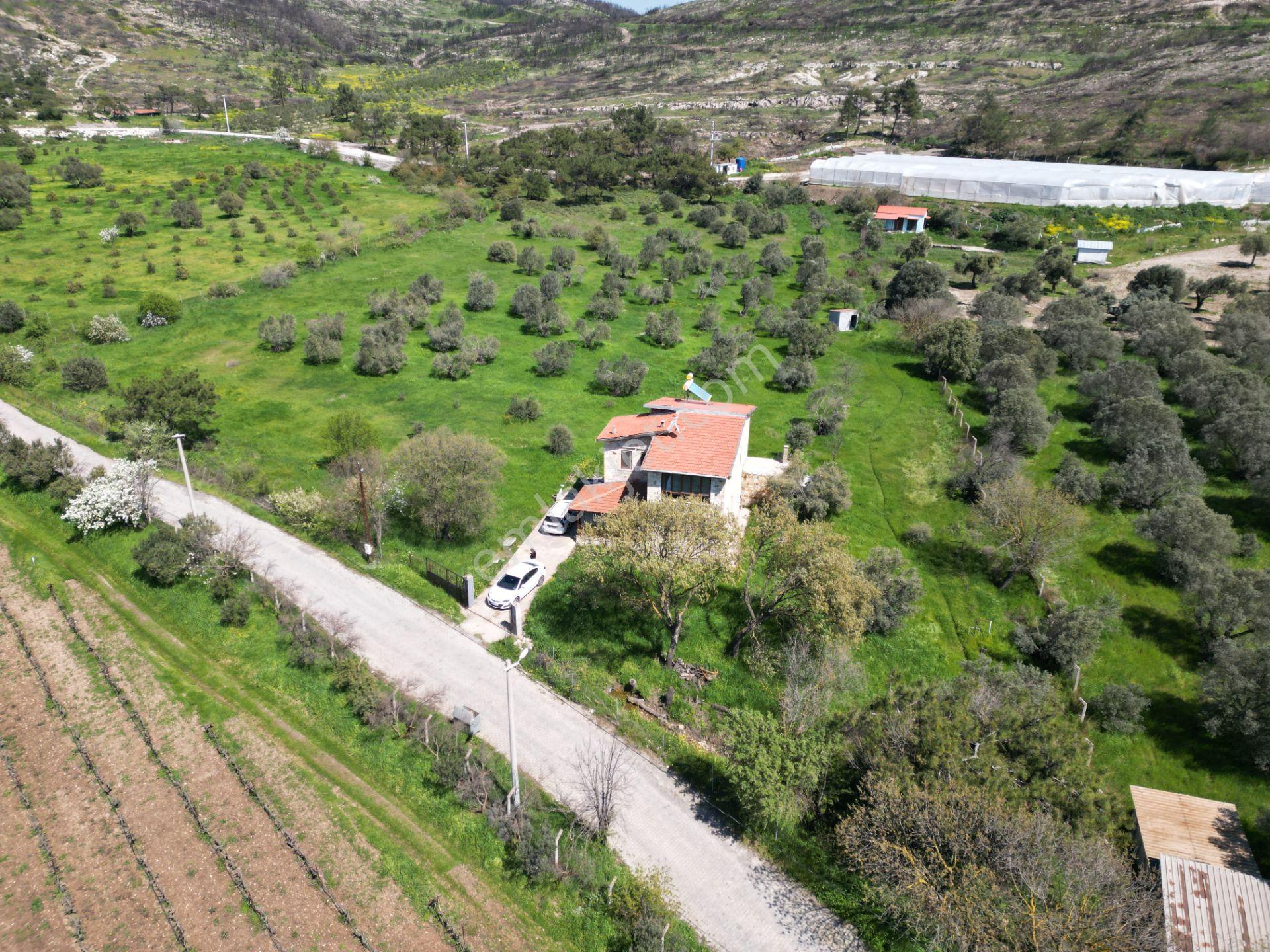 13.300 M2 Arazi İçerisinde 250 M2 Taş Ev - Görsel 2