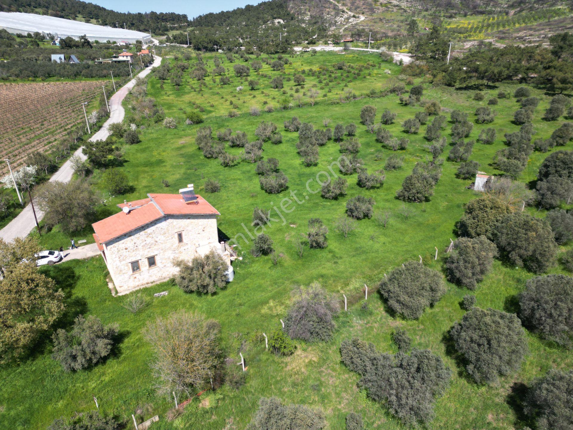 13.300 M2 Arazi İçerisinde 250 M2 Taş Ev - Görsel 3
