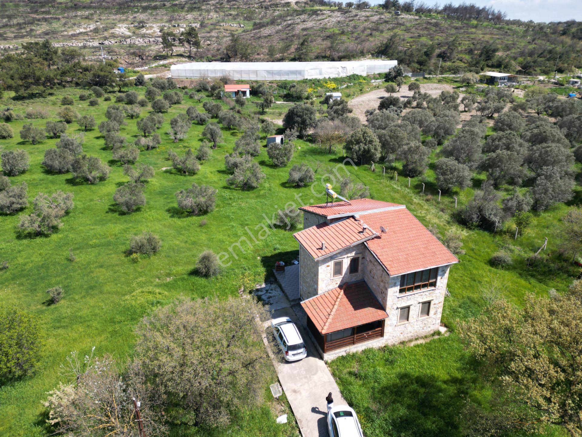 13.300 M2 Arazi İçerisinde 250 M2 Taş Ev - Görsel 7