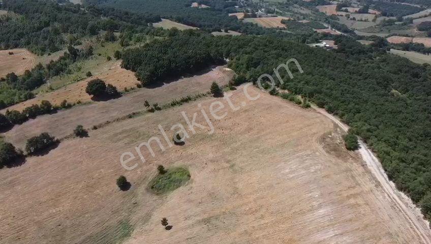 Öztarlacıdan Melik 55200 M2 Satılık Arazı Takasa Uygun - Görsel 10