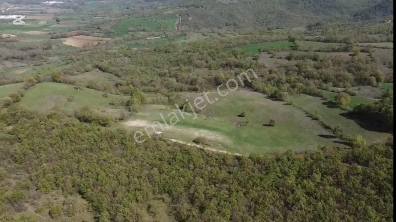 Öztarlacıdan Melik 55200 M2 Satılık Arazı Takasa Uygun - Görsel 7