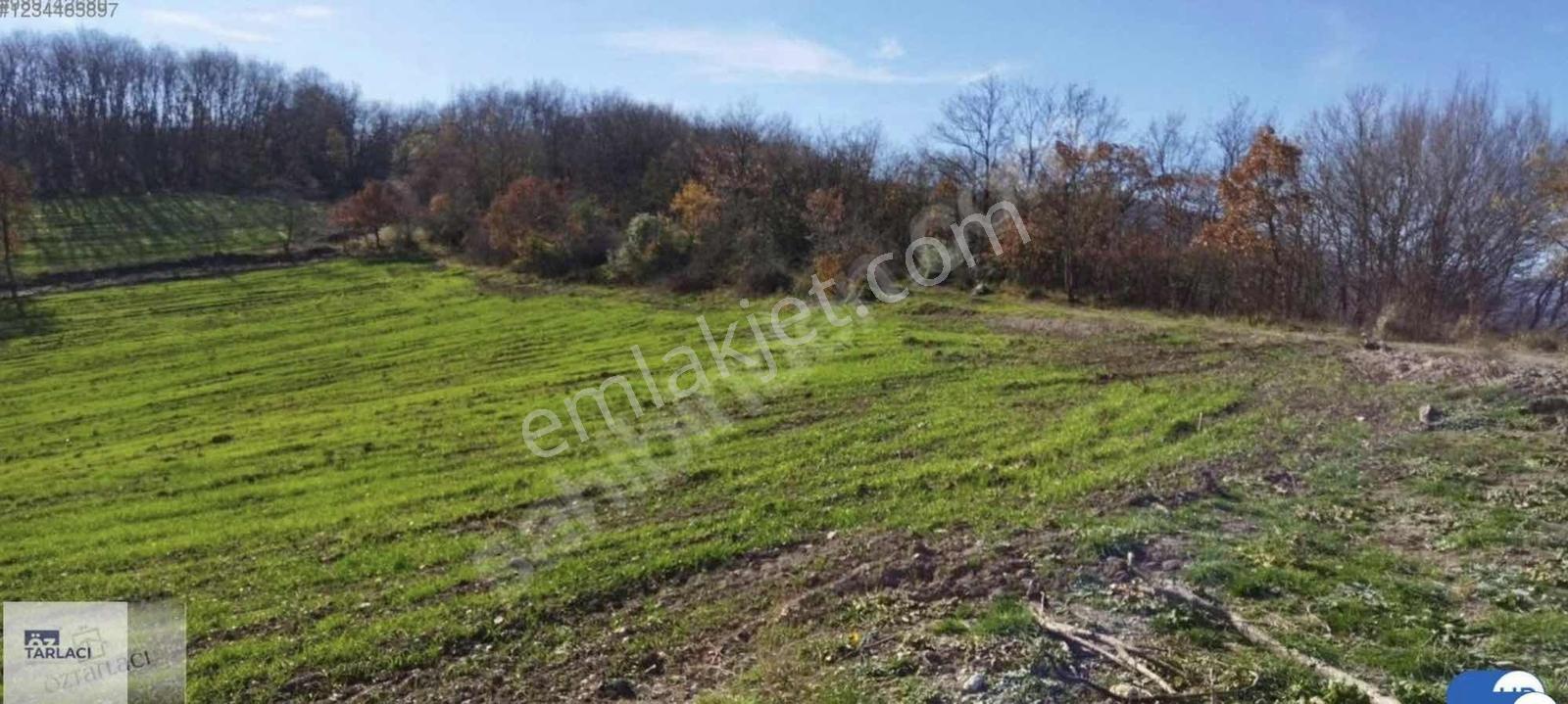 Öztarlacıdan Melik 55200 M2 Satılık Arazı Takasa Uygun - Görsel 2
