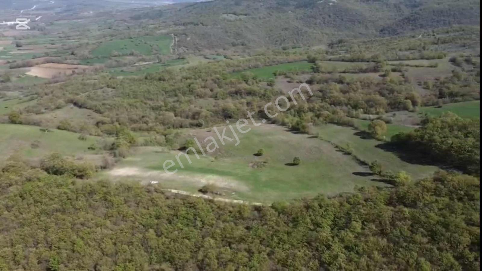 Öztarlacıdan Melik 55200 M2 Satılık Arazı Takasa Uygun - Görsel 8
