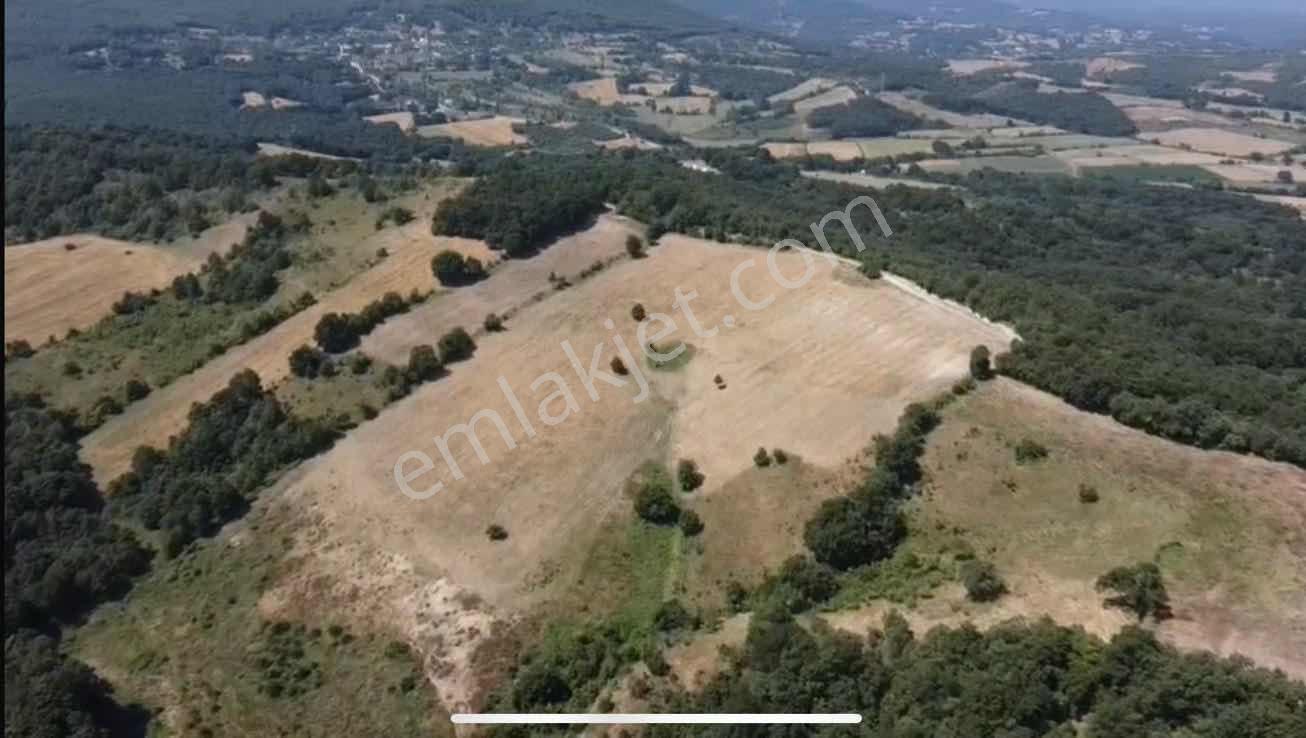 Öztarlacıdan Melik 55200 M2 Satılık Arazı Takasa Uygun - Görsel 6
