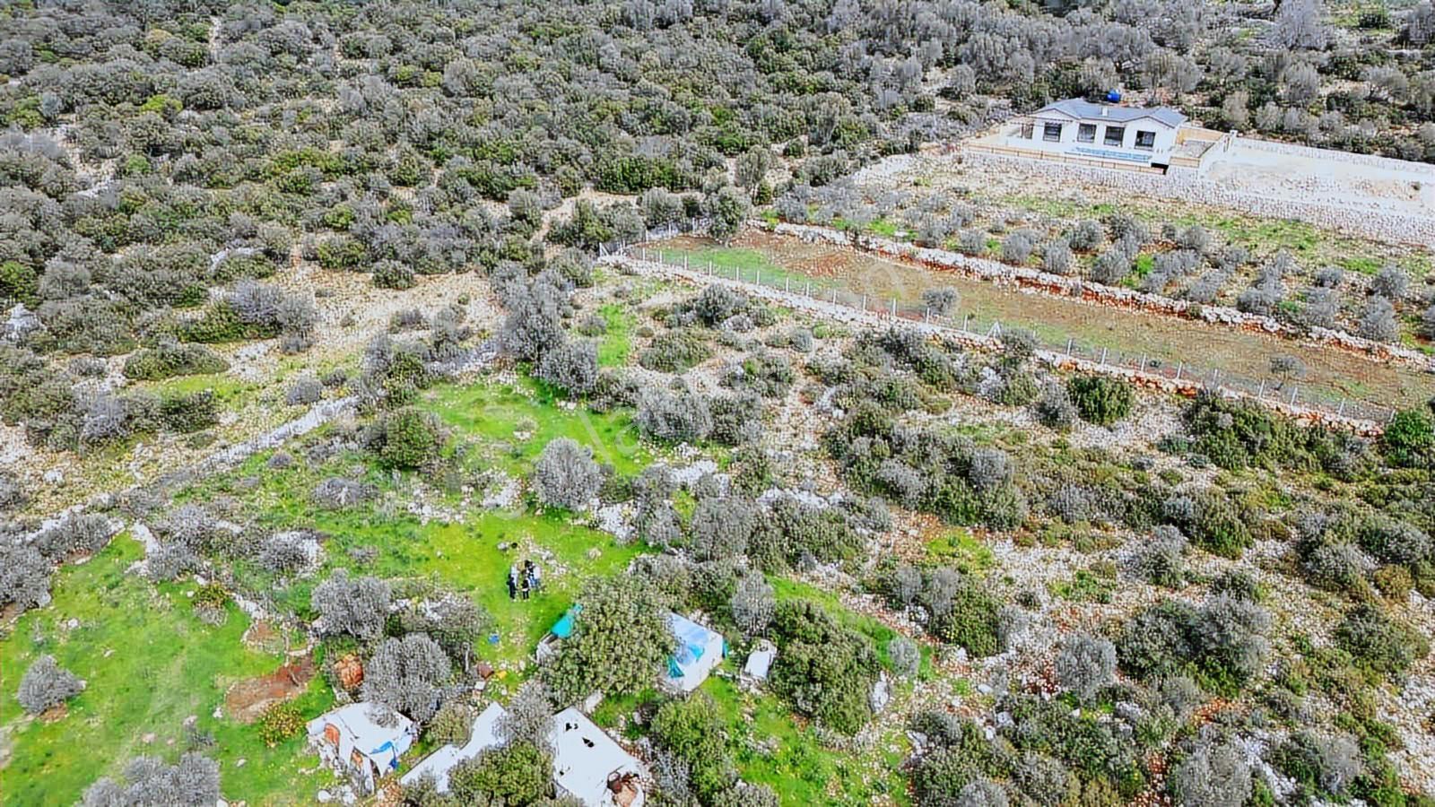 Antalya Kaş'ta 1483 M2 Doğayla İç İçe Deniz Manzaralı Arsa - Görsel 7